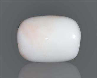 Natural White Coral  11.55 CTS (50260)